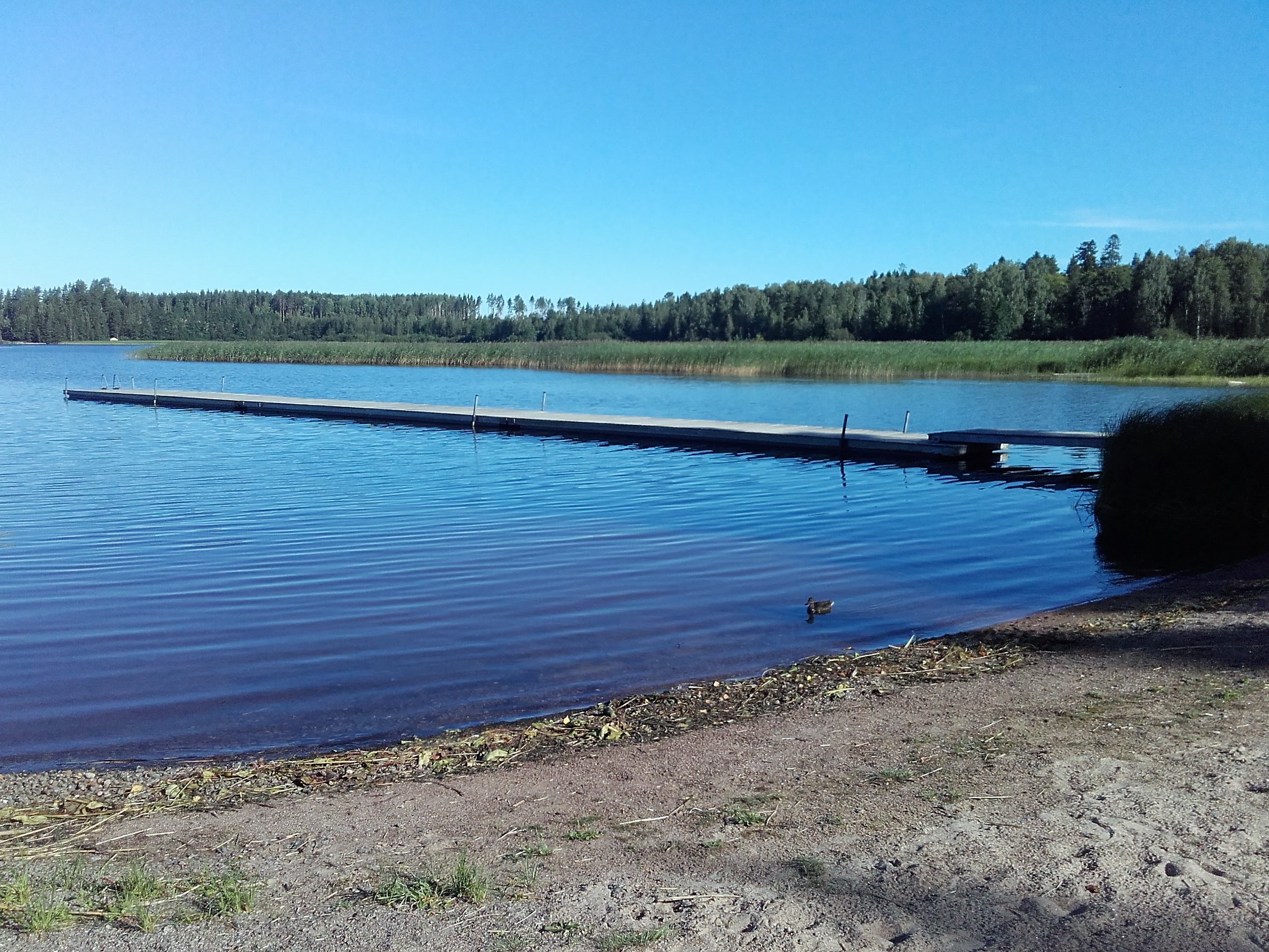 Valkealan kirkonkylän uimapaikka Lappalanjärvellä. Hiekka/soraranta, vedessä pitkä laituri.