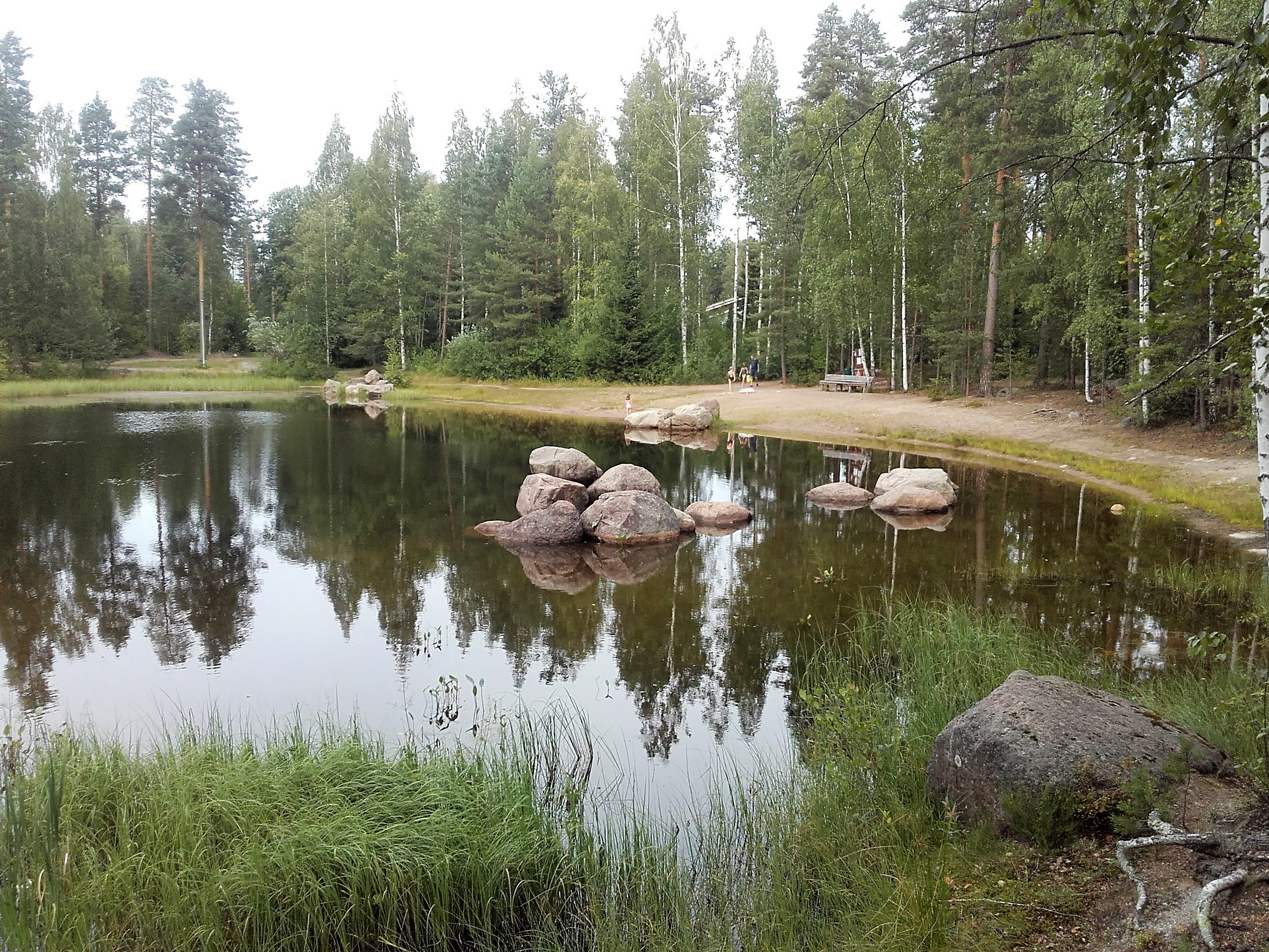 Metsän ympäröimä lampi. Lammessa ja sen rannalla isoja kiviä. 