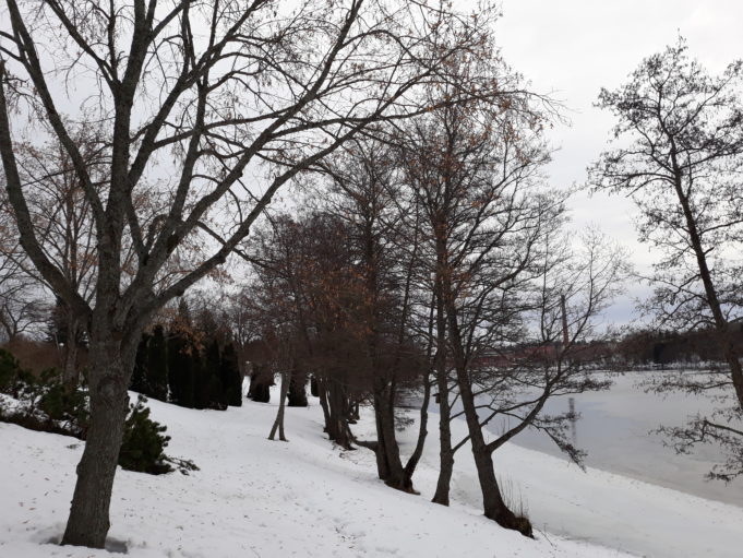 Kuusankosken Rantapuisto talvella