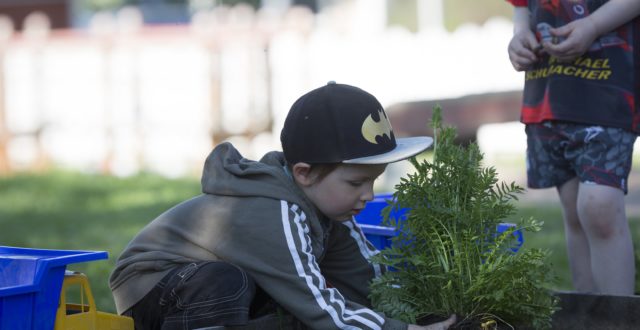 Kaupunkiviljelyä asuntomessuilla