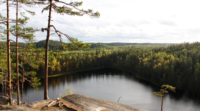 Repovesi näkymä kalliolta alas veteen