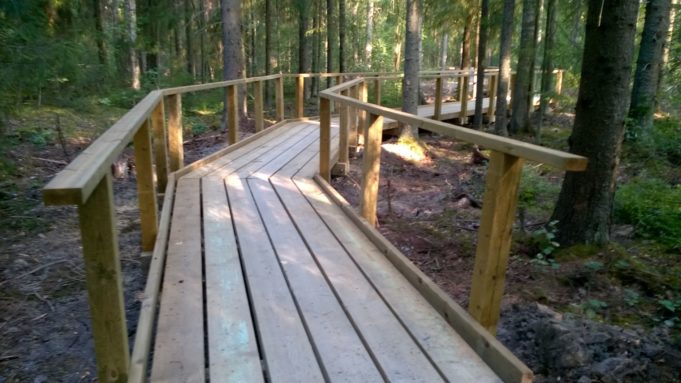 Laudoista rakennettu kävelypolku kaartuu oikealle metsässä. Polun molemmilla reunoilla puiset kaiteet.