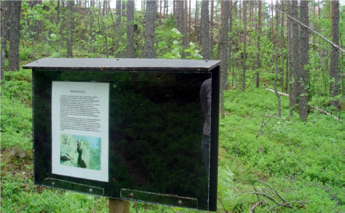 Kuvassa opastalu. Taustalla männynrynkoja ja vaaleanvihreää aluskasvillisuutta.