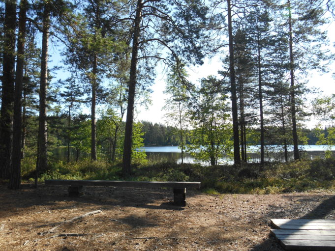 Kuvassa lankusta tehty penkki metsän reunassa. Taustalla puiden välistä kiiltelee järven pinta.