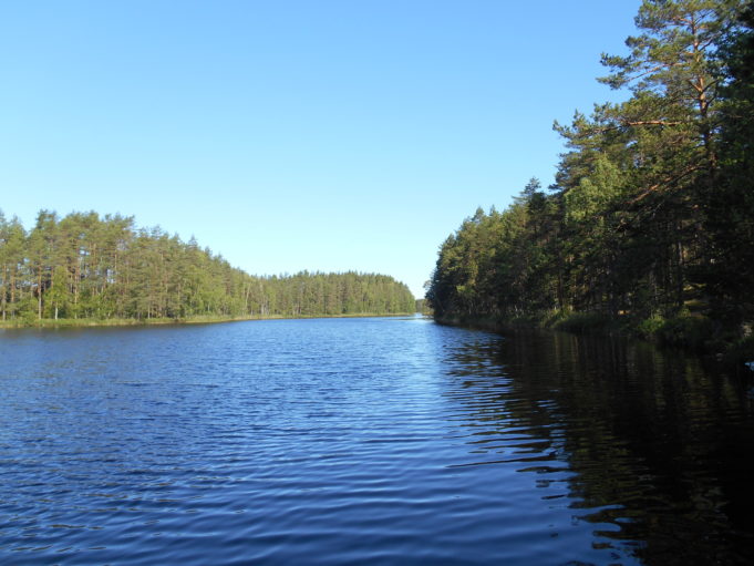 Kuvassa sininen järvi ja metsää rannoilla. Taivas on kirkkaan sininen.