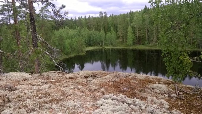 Kuvassa sammaleinen kallio ja kallion reunalla känkkärä mänty. Alhaalla näkyy lampi ja sekametsää.