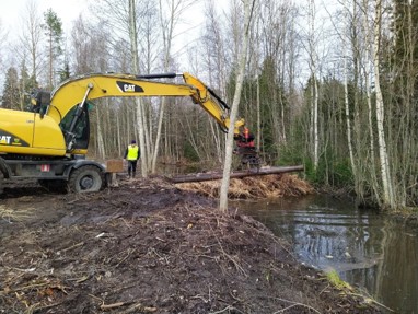 Kaivinkone nostamassa puuta ruokosuodatinpadon päälle.