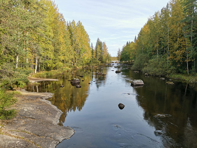 Näkymä sillalta joelle. Puita rannoilla, kiviä ja kalliota joessa.