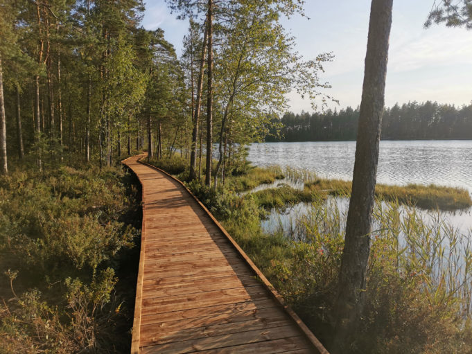 Kalalammen luontopolun pitkospuut rannalla, viressä Kalalampi.