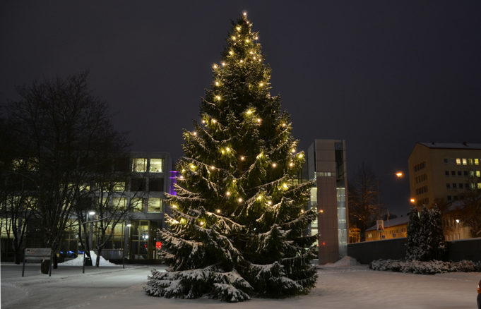 Valaistu joulukuusi kaupungintalon edustalla