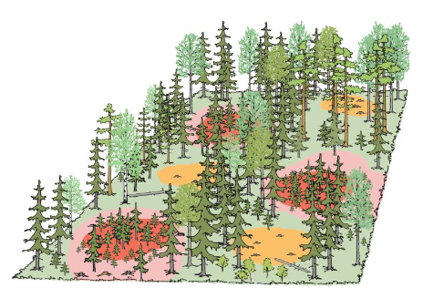 Eri väreillä on kuvattu metsän keskelle tehtyjä pieniä aukkoja.