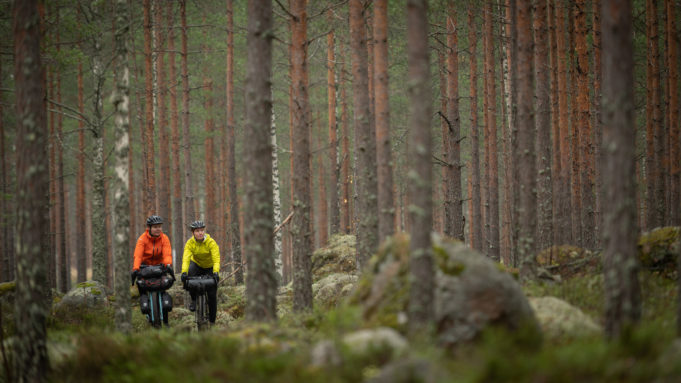 kaksi pyöräilijää metsässä.