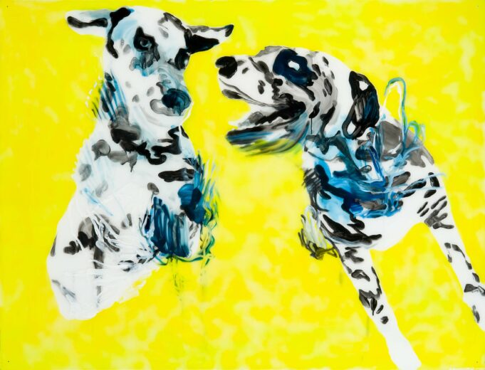 Kaksi dalmatialaista koiraa keltaisella taustalla.