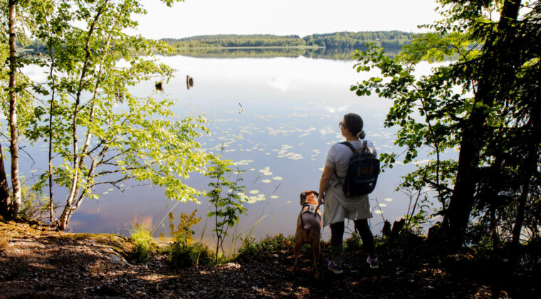 Nainen ja koira järven rannalla