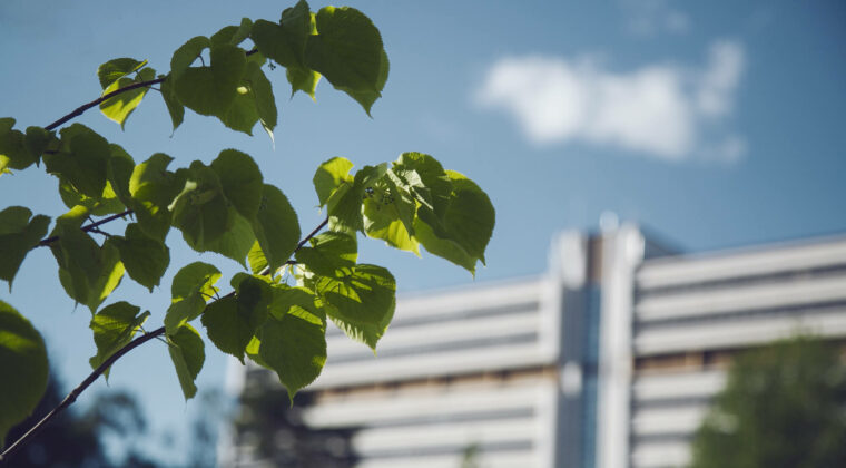 kesäinen kouvola kuva, taustalla pohjola-talo