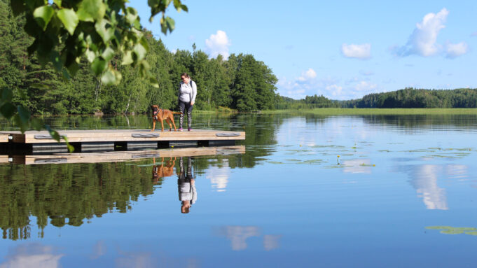 Nainen ja koira Sääksniemen luontopolun laiturilla. Poutapilvinen taivas heijastuu veden pintaan,