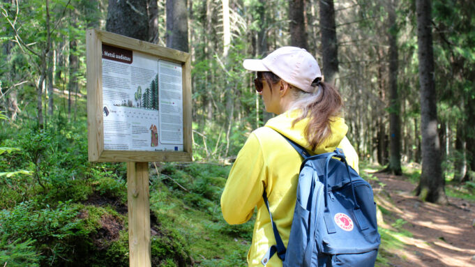 Nuori nainen reppu selässään tutkii luontopolun kohdeopastetta, jonka otsikkona on "Metsä uudistuu".