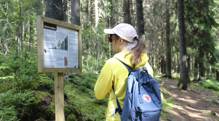 Keltatakkinen nainen metsässä tutkii luontopolkujen infokylttiä.