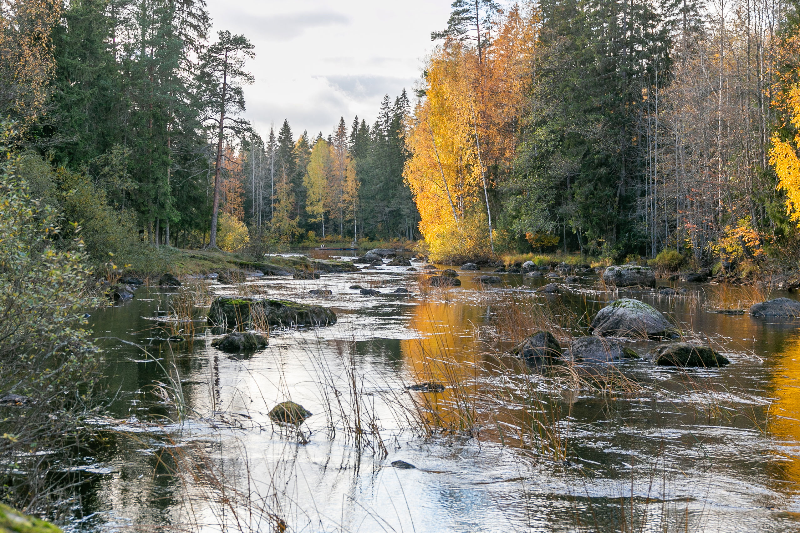 Syksyinen maisema veden äärellä.