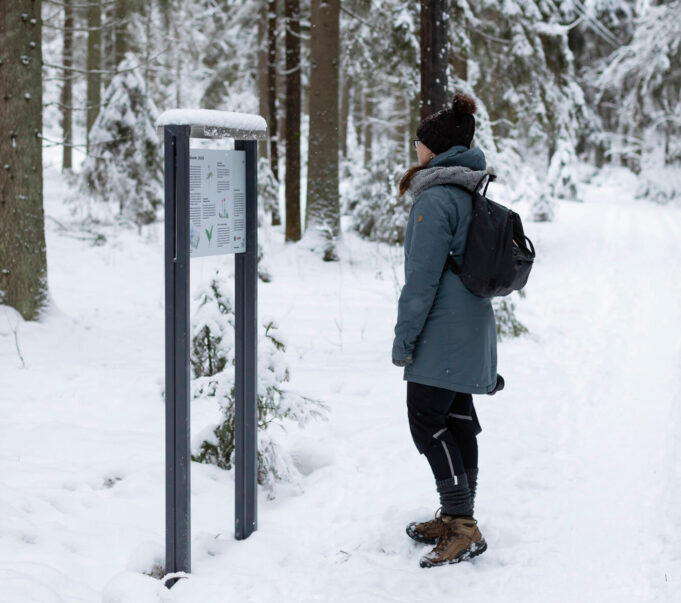 Nainen lumisessa metsässä lukee infotaulua.