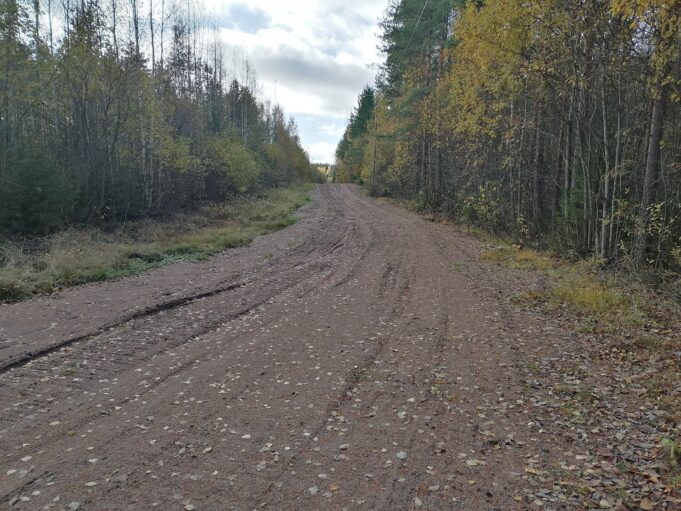 Metsäinen maisema maakaasulinjan kunnostuksesta 2022.