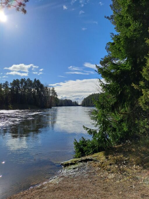 Maisemakuva Känkkärän luontopolulta. Kuvassa avautuu järvimaisema. Järven rannoilla on muun muassa mäntyjä ja kuusia.