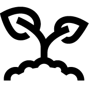 kasvin taimi -ikonikuvake