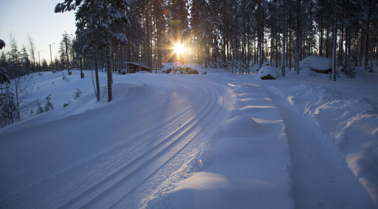 Hiihtolatu pakkaspäivänä. Aurinko näkyy matalalla metsän takana.