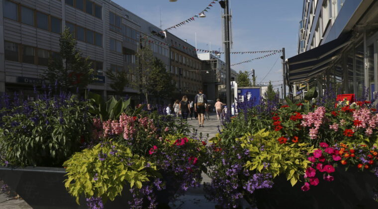 Kävelykatu Manski. Etualalla kukkaistutuksia ja kadun yli viritelty värikkäät viirit.